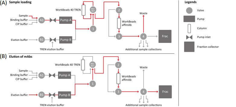 Hardware setup of the mAb purification process