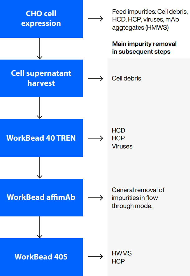 Three-step chromatographic purification