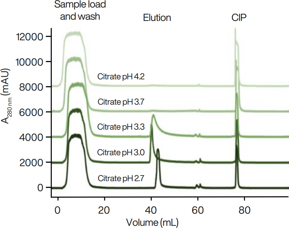 pH dependence of mAb elution