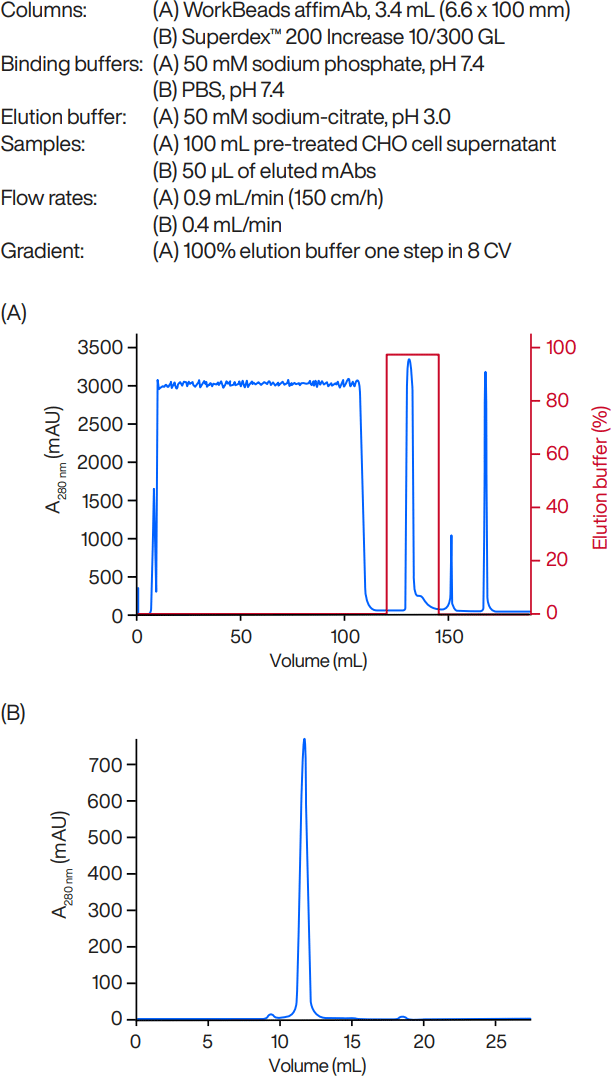 Chromatograms of mAb purification